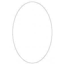 40481 - Label Size 180mm x 280mm - 1 label(s) per sheet 